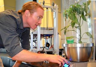 Daniel studying plant